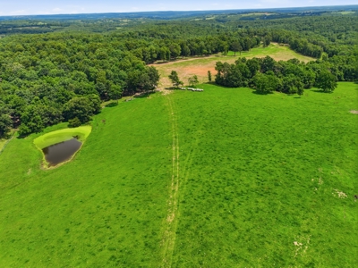 431 Acre Ozarks Farm with Springs, Ponds & Income Potential - image 9