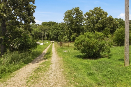 431 Acre Ozarks Farm with Springs, Ponds & Income Potential - image 35