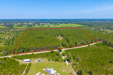 40 Acres of Timberland with 3 Bedroom For Sale in Chiefland, FL - image 49