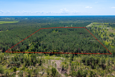 40 Acres of Timberland with 3 Bedroom For Sale in Chiefland, FL - image 50