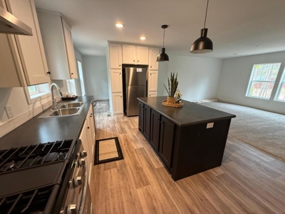 Home For Sale in a Newly Developed Area in Willow River, MN - image 2