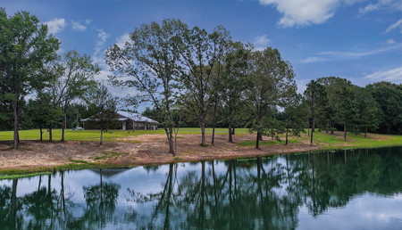 Stunning Country Home For Sale on 14.5 Acres in De Kalb, TX! - image 2