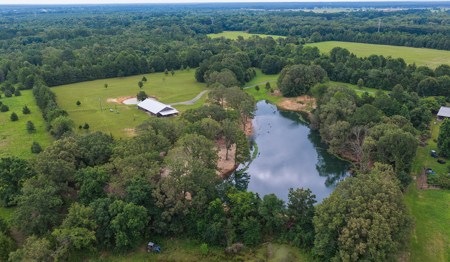 Stunning Country Home For Sale on 14.5 Acres in De Kalb, TX! - image 4
