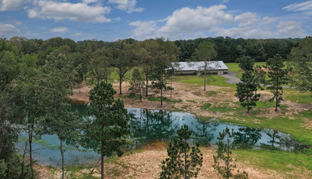 Stunning Country Home For Sale on 14.5 Acres in De Kalb, TX! - image 10