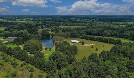Stunning Country Home For Sale on 14.5 Acres in De Kalb, TX! - image 7