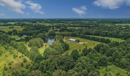 Stunning Country Home For Sale on 14.5 Acres in De Kalb, TX! - image 8
