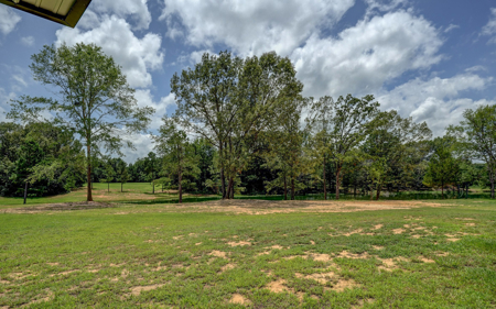 Stunning Country Home For Sale on 14.5 Acres in De Kalb, TX! - image 43