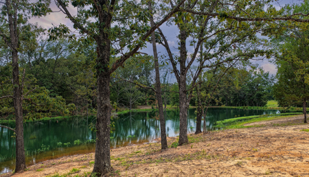 Stunning Country Home For Sale on 14.5 Acres in De Kalb, TX! - image 3