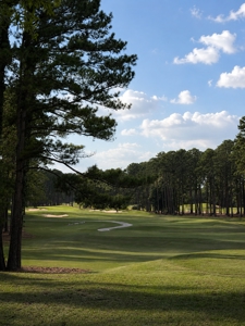 The Highlands Home You've Been Waiting For - image 23