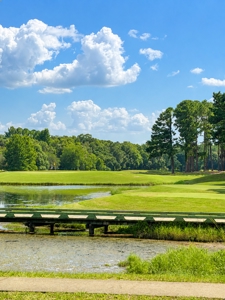 The Highlands Home You've Been Waiting For - image 24