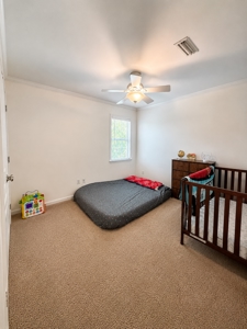 The Highlands Home You've Been Waiting For - image 2