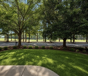 The Highlands Home You've Been Waiting For - image 22