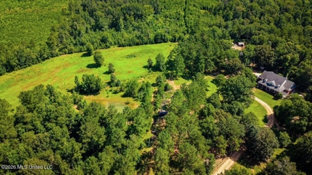 Luxury Country Estate on 70 Acres in Lawrence County - image 41