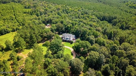 Luxury Country Estate on 70 Acres in Lawrence County - image 40