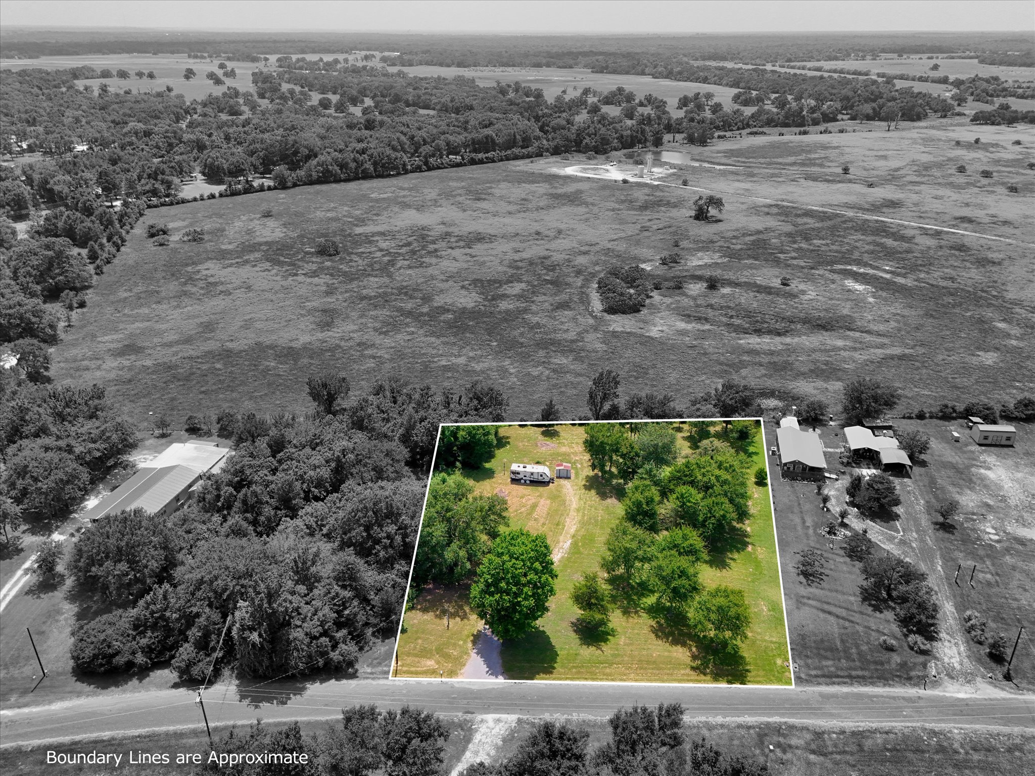 Aerial view of the property and its mature trees