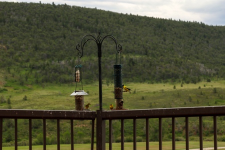 Montana Foothills Retreat | Hobson, Montana - image 30