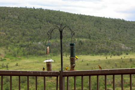 Montana Foothills Retreat | Hobson, Montana - image 18