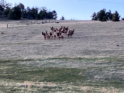 Montana Foothills Retreat | Hobson, Montana - image 50