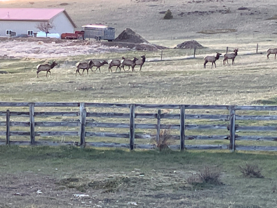 Montana Foothills Retreat | Hobson, Montana - image 48