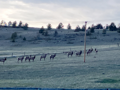 Montana Foothills Retreat | Hobson, Montana - image 49