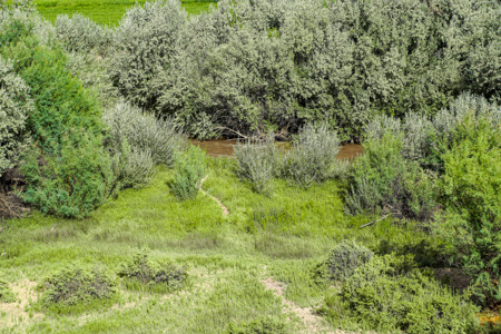 Horse Property on Acreage For Sale in Western Colorado - image 36