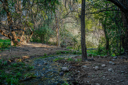 79+/- Acre Colorado Horse Property with 56 Shares, Pond & Pasture - image 4
