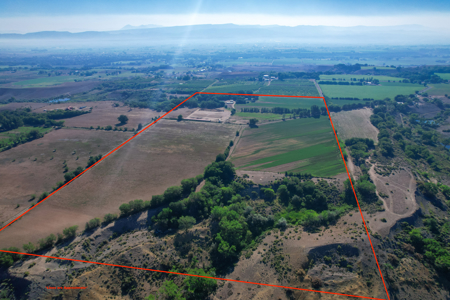 79+/- Acre Colorado Horse Property with 56 Shares, Pond & Pasture - image 2