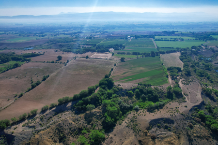 79+/- Acre Colorado Horse Property with 56 Shares, Pond & Pasture - image 42