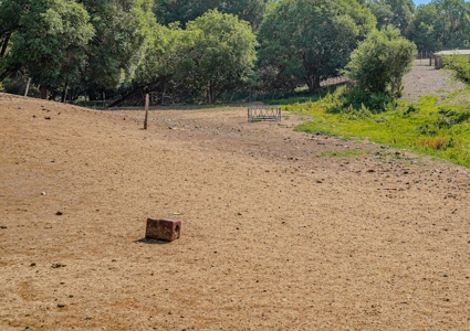 79+/- Acre Colorado Horse Property with 56 Shares, Pond & Pasture - image 43