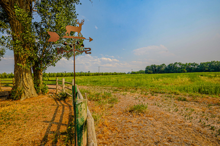 79+/- Acre Colorado Horse Property with 56 Shares, Pond & Pasture - image 12