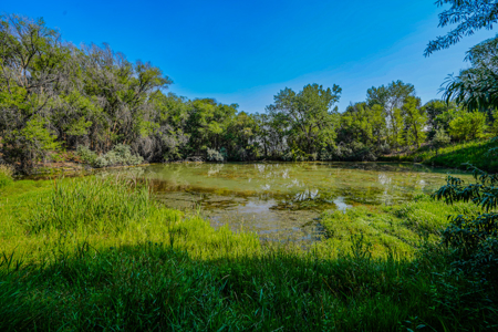 79+/- Acre Colorado Horse Property with 56 Shares, Pond & Pasture - image 5