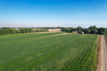 79+/- Acre Colorado Horse Property with 56 Shares, Pond & Pasture - image 1