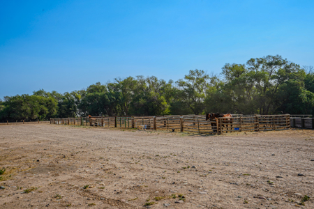 79+/- Acre Colorado Horse Property with 56 Shares, Pond & Pasture - image 38