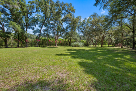 Beautiful Home on 5 Acres with Pool in Newberry, FL - image 12