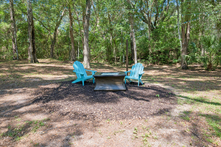 Beautiful Home on 5 Acres with Pool in Newberry, FL - image 11
