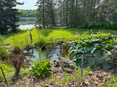 Lakeside Ranch Home - Springfield, Maine - image 8