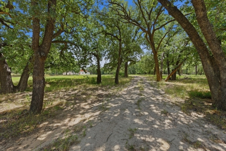 Mountain Springs Ranch near Gainesville, Texas - image 18