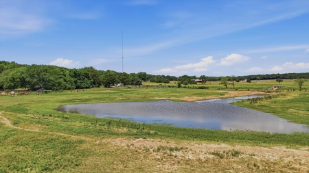 Mountain Springs Ranch near Gainesville, Texas - image 26