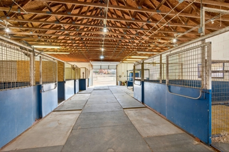Mountain Springs Ranch near Gainesville, Texas - image 23