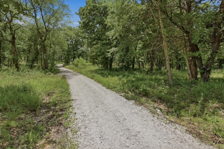 Mountain Springs Ranch near Gainesville, Texas - image 15