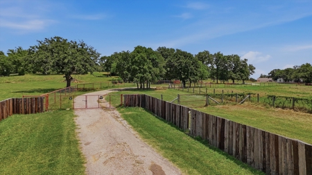 Mountain Springs Ranch near Gainesville, Texas - image 3