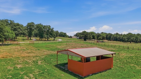 Mountain Springs Ranch near Gainesville, Texas - image 5