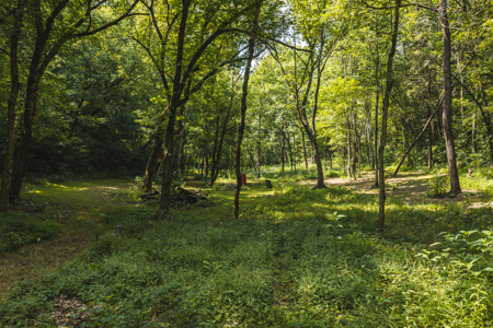 Country Home-Equine-Hunting-Workshop-Acreage for Sale East TN - image 27