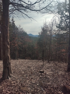 Country Home-Equine-Hunting-Workshop-Acreage for Sale East TN - image 37
