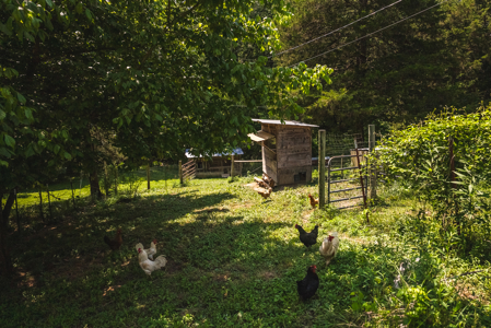 Country Home-Equine-Hunting-Workshop-Acreage for Sale East TN - image 28