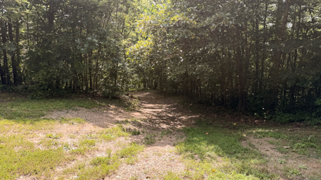 Country Home-Equine-Hunting-Workshop-Acreage for Sale East TN - image 29
