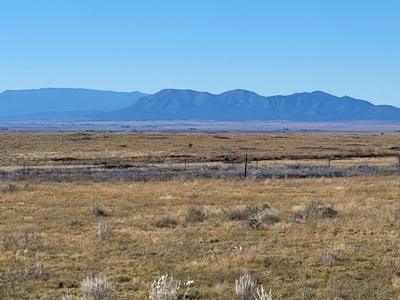10 Acres For Sale with Mountain Views Near Stanley, New Mexico - image 2