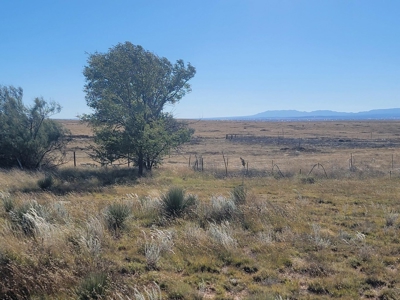 10 Acres For Sale with Mountain Views Near Stanley, New Mexico - image 5