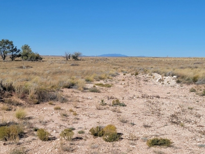 10 Acres For Sale with Mountain Views Near Stanley, New Mexico - image 7