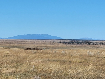 10 Acres For Sale with Mountain Views Near Stanley, New Mexico - image 4